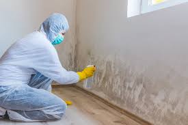 Best Water Damage & Mold Remediation  in Independence, WI