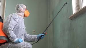 Best Asbestos and Lead Testing During Mold Inspection  in Independence, WI