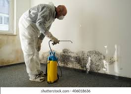 Why You Should Choose Our Mold Remediation Services in Independence, WI